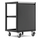 NewAge Pro Series Mobile Utility Cart - Chariot utilitaire mobile
